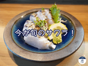 旬を迎えたサワラ（鰆）を捌いている厨房に潜入！