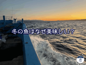 冬の魚はなぜ美味しい？脂のり・身の締り・季節ごとの違い
