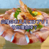 山陰のお正月にはブリ！その理由に迫る！