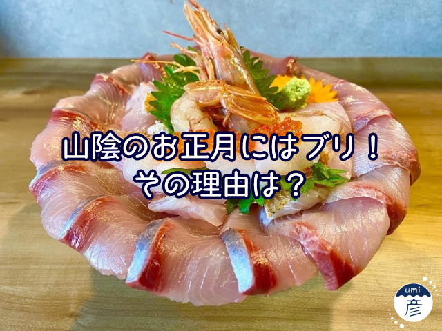 山陰のお正月にはブリ！その理由に迫る！