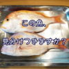 この魚、見分けつきますか？～レンコダイとチコダイ～