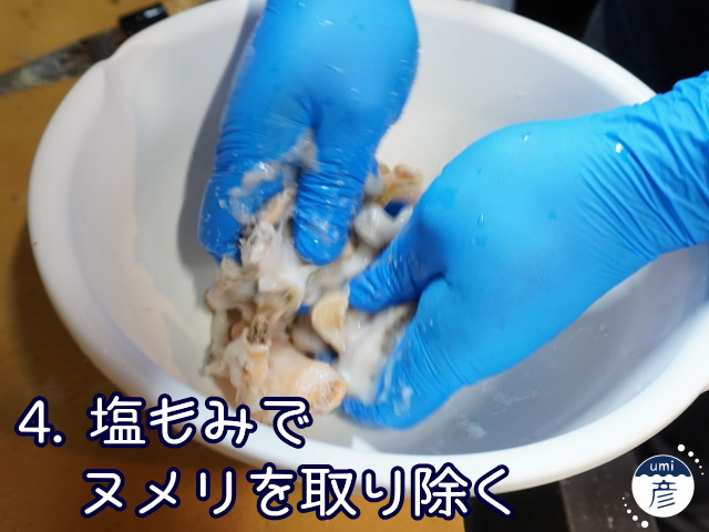 海彦夏の風物詩「白バイ貝」、実は冬にもあります!!