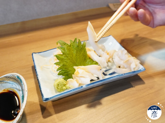海彦夏の風物詩「白バイ貝」、実は冬にもあります!!