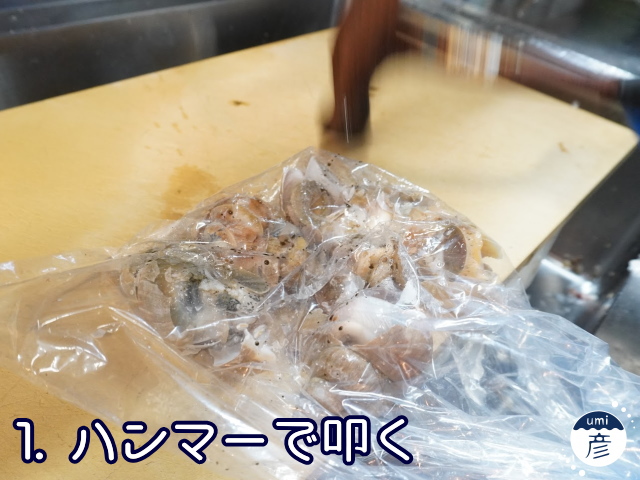 海彦夏の風物詩「白バイ貝」、実は冬にもあります!!