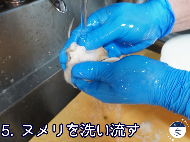 海彦夏の風物詩「白バイ貝」、実は冬にもあります!!