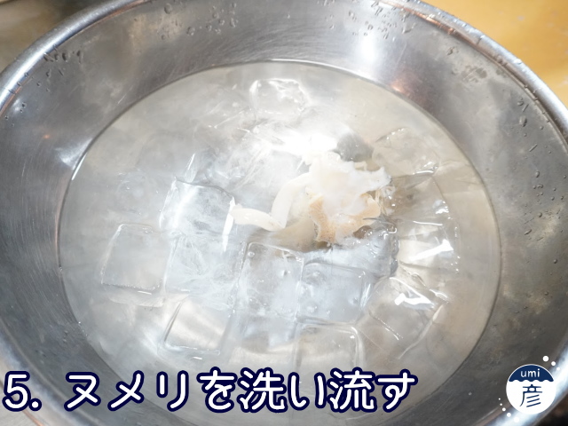 海彦夏の風物詩「白バイ貝」、実は冬にもあります!!