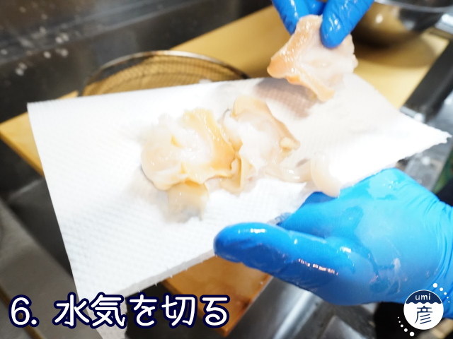 海彦夏の風物詩「白バイ貝」、実は冬にもあります!!