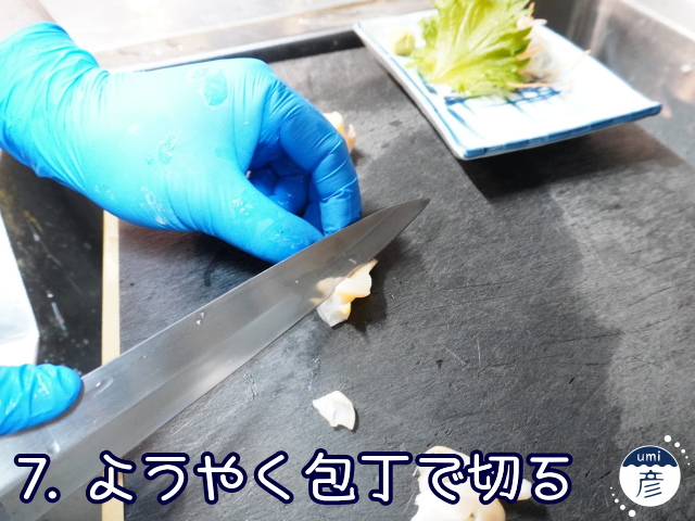 海彦夏の風物詩「白バイ貝」、実は冬にもあります!!