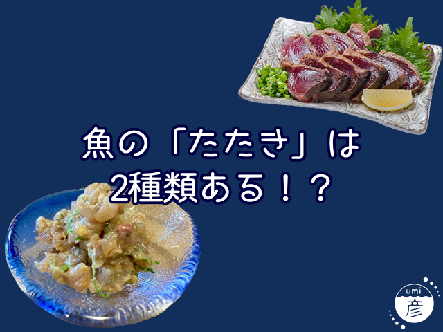 魚の「たたき」の違いについて｜実は2種類ある！？