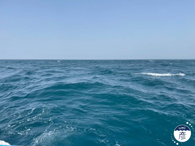 春が来た!「春告魚」って何?