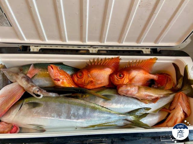 春が来た!「春告魚」って何?