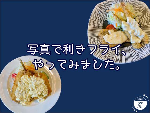 写真で利きフライ、やってみました。