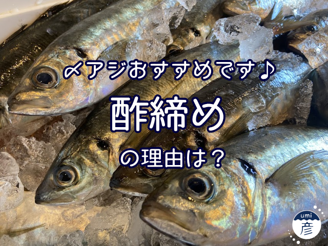 〆アジおすすめです！─お酢で締める理由は？