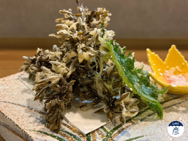 ジャキジャキ食感がクセになる。生ひじき初登場!