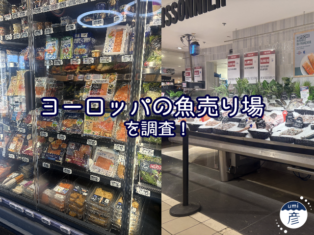 世界の魚売り場比較！ヨーロッパに行ってきました！