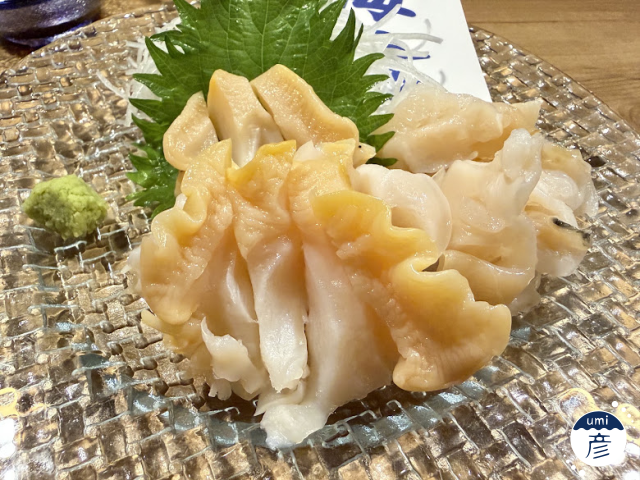 毎年大好評！白バイ貝が今年も登場！