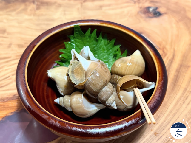 毎年大好評！白バイ貝が今年も登場！