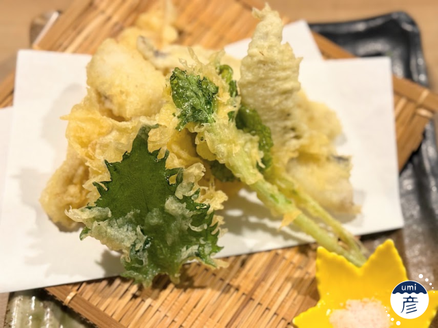 【海彦日本酒紹介】期間限定「理可（りか）純米吟醸 改良八反流」（島根県大田市）