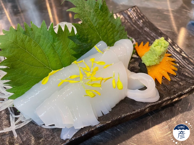 海鮮 海彦で提供する白イカの刺身