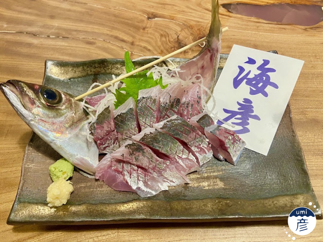 待望の続編！？「写真で利き刺身」開催！（初級編）
