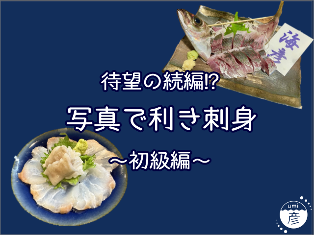 待望の続編！？「写真で利き刺身」開催！（初級編）