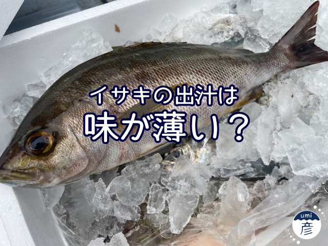 イサキの骨で出汁を取ったら味が薄い？アラ汁の実例を調べて分かったこと