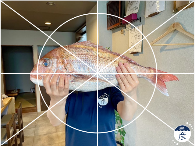 釣った魚をスマホで撮る！魚がもっと魅力的に見える撮影方法は？
