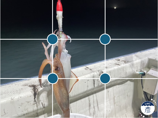 釣った魚をスマホで撮る！魚がもっと魅力的に見える撮影方法は？