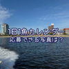 釣った魚だけじゃない！こんな写真も『1日1魚カレンダー』に応募できます！