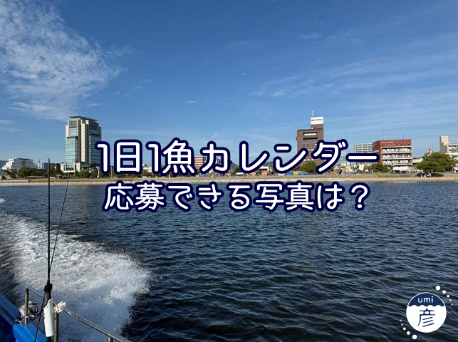 釣った魚だけじゃない！こんな写真も『1日1魚カレンダー』に応募できます！