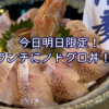 【10/9,10限定】立派なノドグロが入荷！ランチに「ノドグロ丼」が登場します♪