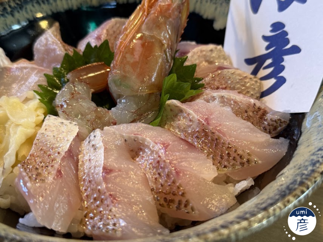 【10/9,10限定】立派なノドグロが入荷！ランチに「ノドグロ丼」が登場します♪