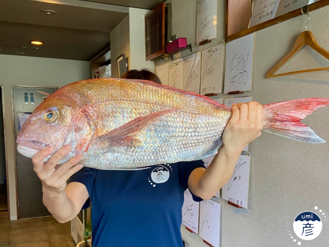 春夏秋冬でこんなに違う!山陰の美しい風景と旬の魚たちを振り返る
