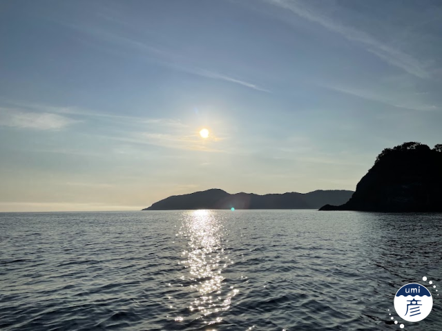山陰の海の風景と魚の魅力を伝える写真