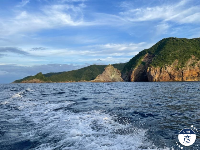 春夏秋冬でこんなに違う!山陰の美しい風景と旬の魚たちを振り返る