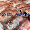 ノドグロはなぜ高級魚？値段が高い理由を漁師目線で解説！