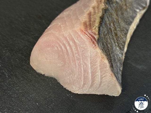 カマスサワラとは?カマス・サワラとの違いと、秋の島根で味わう炙り刺身