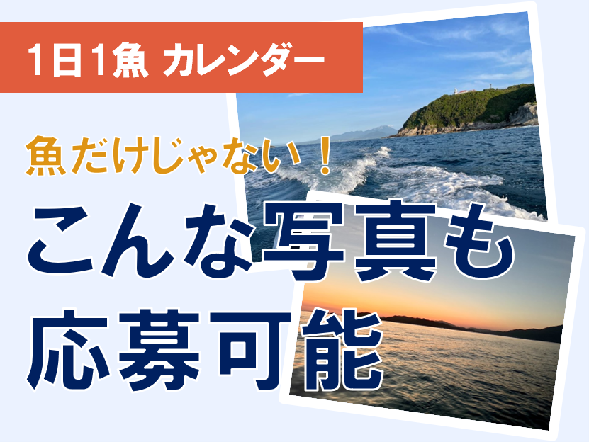 【2027年1日1魚カレンダー】応募できる写真は？釣った魚・海・夕日・宍道湖など写真例と応募方法