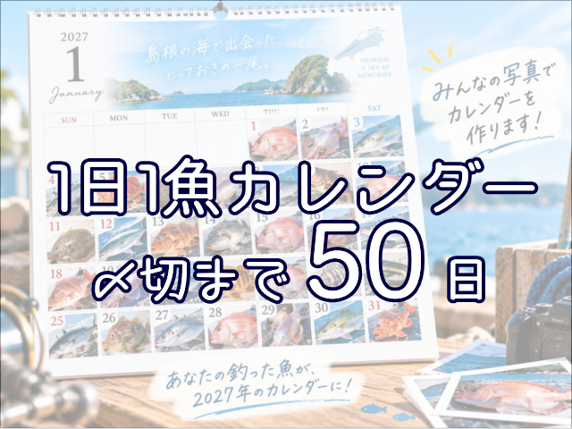 【写真募集中】2027年1日1魚カレンダーを一緒に作ろう！応募方法・写真の条件・楽しみ方
