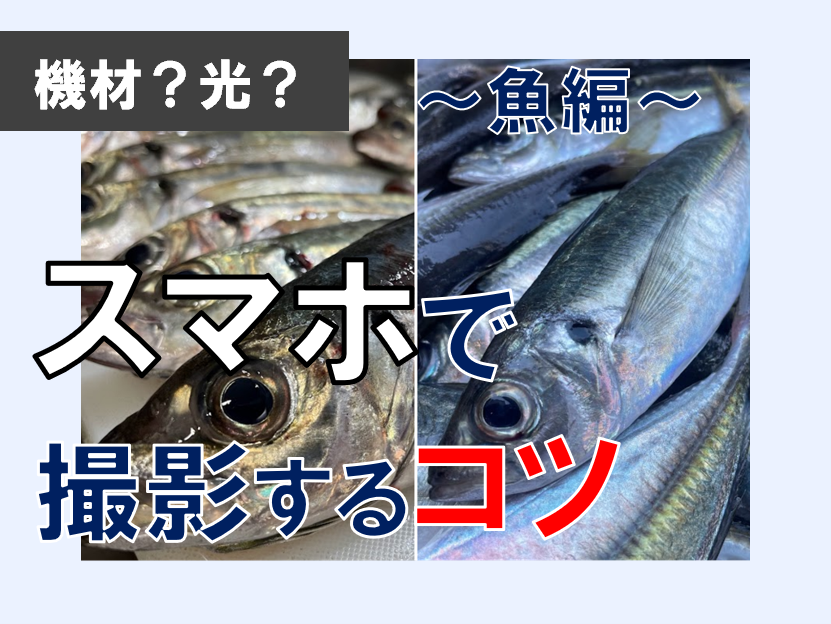 釣った魚をスマホで撮る！魚がもっと魅力的に見える撮影方法は？